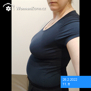 desktop-posts-parts-details-pregnancybelly-animation-caption